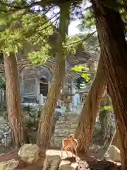 金華山黄金山神社(宮城県)