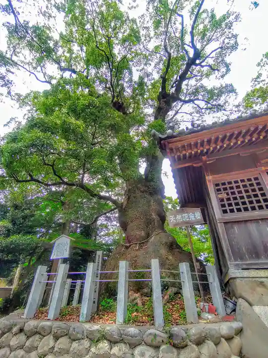八幡社(西)の自然