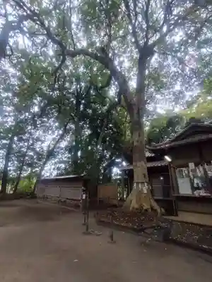 氷川女體神社(埼玉県)
