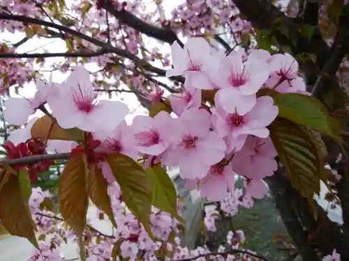 当別神社の自然
