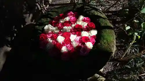 菅生神社の手水舎