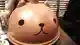 カピバラさん