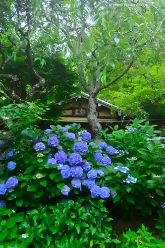 佛日庵(神奈川県)