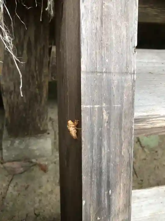 熊按神社(兵庫県)