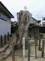 八幡社の自然