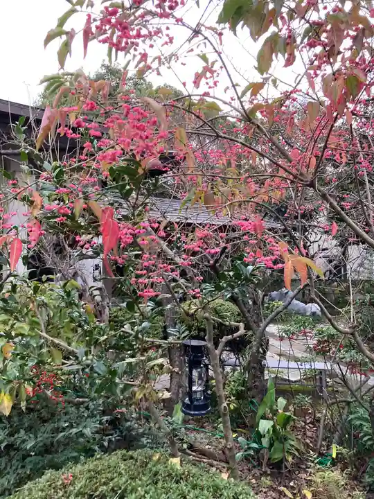 教善寺(神奈川県)
