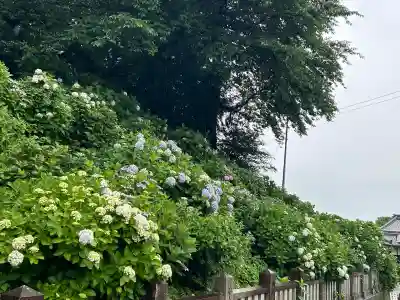 粟井神社(香川県)