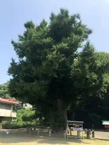 宮浦宮のその他建物