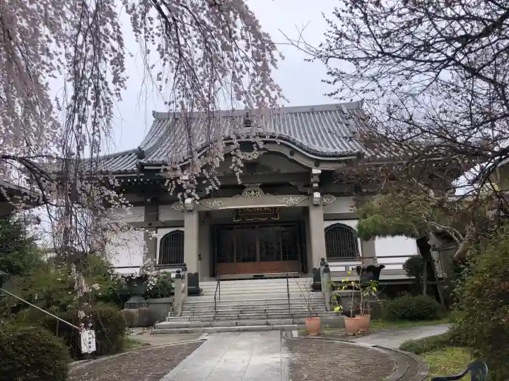 栽松院の{uncategorized: "未分類", other: "その他", undefined: "問題あり", building: "その他建物", grave: "お墓", sacred_gate: "鳥居", guardian: "狛犬", statue: "像", buddha: "仏像", history: "歴史", nature: "自然", garden: "庭園", animal: "動物", pagoda: "塔", temizu: "手水舎", mountain_gate: "山門・神門", sanctuary: "本殿・本堂", subordinate: "末社・摂社", art: "芸術", scenery: "景色", jizo: "地蔵", ema: "絵馬", goshuin: "御朱印", omikuji: "おみくじ", items: "授与品その他", amulet: "お守り", goshuincho: "御朱印帳", eats: "食事", festival: "お祭り", votive_dance: "神楽", shichigosan: "七五三参", wedding: "結婚式", experience: "体験その他", initially: "初詣", around: "周辺", anti_infection: "感染症対策"}