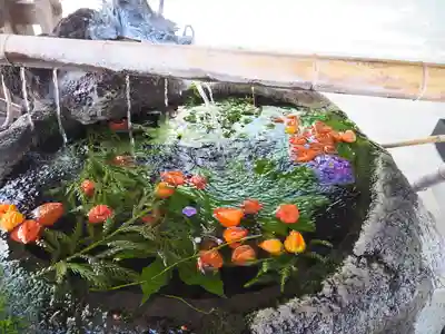 出雲大社相模分祠の手水舎