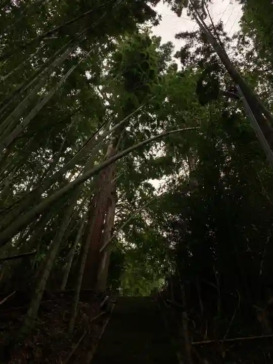 十二所神社の自然