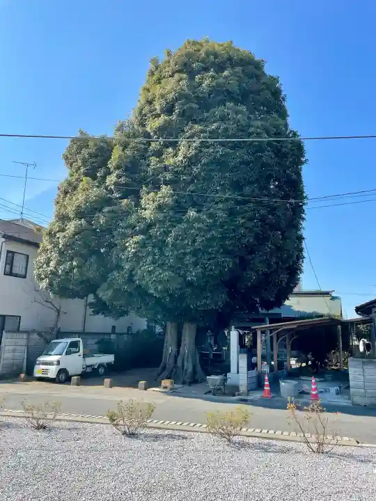 御嶽神社の{uncategorized: "未分類", other: "その他", undefined: "問題あり", building: "その他建物", grave: "お墓", sacred_gate: "鳥居", guardian: "狛犬", statue: "像", buddha: "仏像", history: "歴史", nature: "自然", garden: "庭園", animal: "動物", pagoda: "塔", temizu: "手水舎", mountain_gate: "山門・神門", sanctuary: "本殿・本堂", subordinate: "末社・摂社", art: "芸術", scenery: "景色", jizo: "地蔵", ema: "絵馬", goshuin: "御朱印", omikuji: "おみくじ", items: "授与品その他", amulet: "お守り", goshuincho: "御朱印帳", eats: "食事", festival: "お祭り", votive_dance: "神楽", shichigosan: "七五三参", wedding: "結婚式", experience: "体験その他", initially: "初詣", around: "周辺", anti_infection: "感染症対策"}