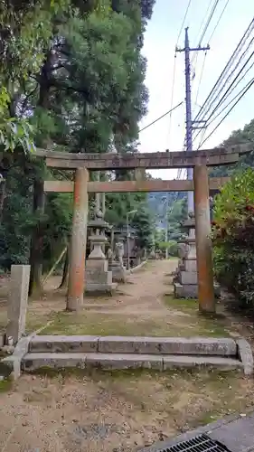 天津神社の鳥居