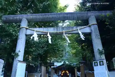 稲荷鬼王神社の鳥居