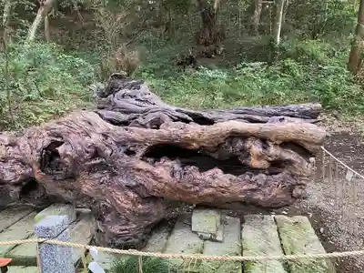 泉神社(茨城県)