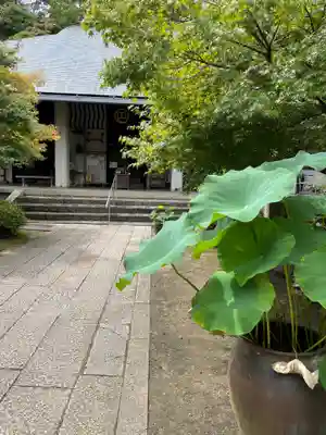 伊勢の国 四天王寺のその他建物