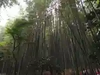 野宮神社(京都府)