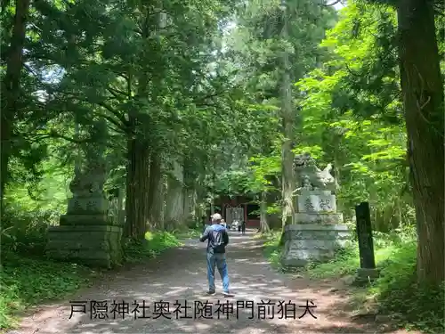 戸隠神社九頭龍社(長野県)