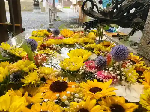 札幌諏訪神社の手水