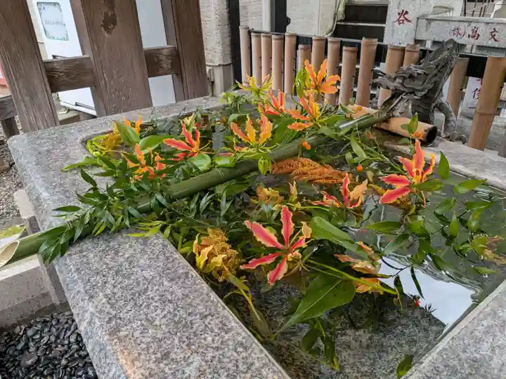 高円寺氷川神社(東京都)