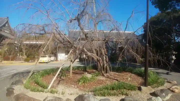 満福寺(三好稲荷閣)(愛知県)