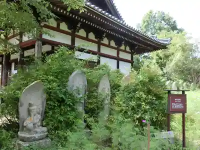 般若寺 ❁﻿コスモス寺❁(奈良県)