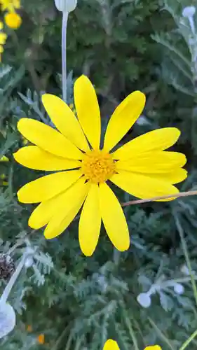 光専寺(愛知県)