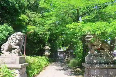 神炊館神社 ⁂奥州須賀川総鎮守⁂の狛犬