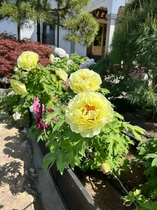 少林寺(埼玉県)