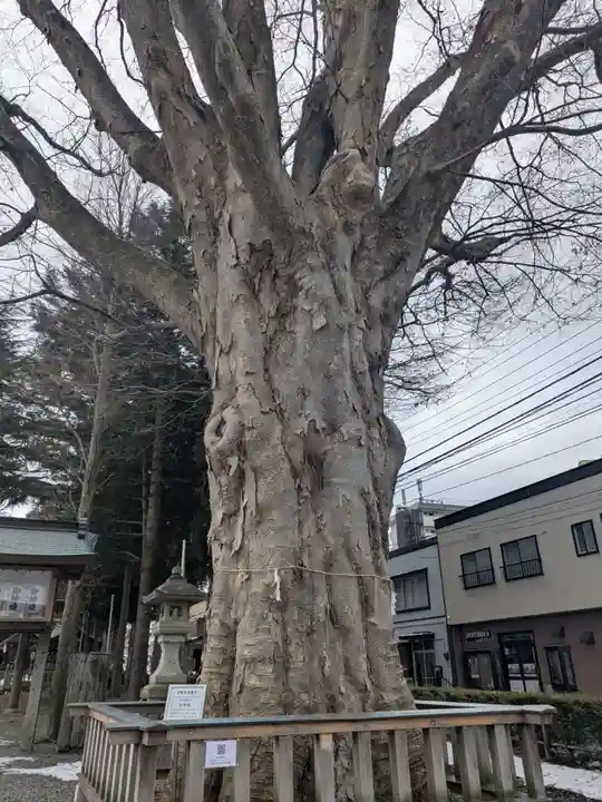 住吉神社(岩手県)