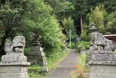菅布禰神社の狛犬