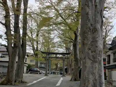 金峯神社の{uncategorized: "未分類", other: "その他", undefined: "問題あり", building: "その他建物", grave: "お墓", sacred_gate: "鳥居", guardian: "狛犬", statue: "像", buddha: "仏像", history: "歴史", nature: "自然", garden: "庭園", animal: "動物", pagoda: "塔", temizu: "手水舎", mountain_gate: "山門・神門", sanctuary: "本殿・本堂", subordinate: "末社・摂社", art: "芸術", scenery: "景色", jizo: "地蔵", ema: "絵馬", goshuin: "御朱印", omikuji: "おみくじ", items: "授与品その他", amulet: "お守り", goshuincho: "御朱印帳", eats: "食事", festival: "お祭り", votive_dance: "神楽", shichigosan: "七五三参", wedding: "結婚式", experience: "体験その他", initially: "初詣", around: "周辺", anti_infection: "感染症対策"}