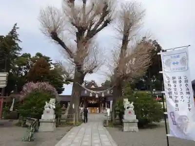 亀ケ池八幡宮のその他建物