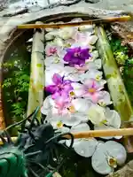 立志神社の手水舎