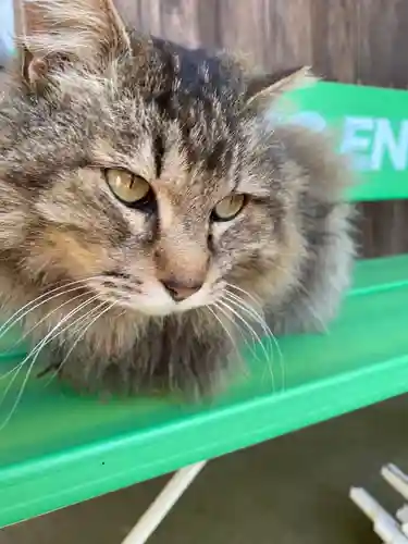 唐澤山神社(栃木県)