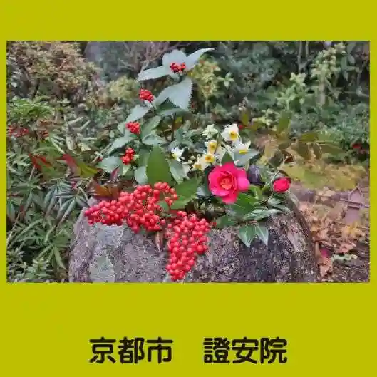 證安院(京都府)