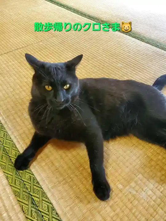 高司神社〜むすびの神の鎮まる社〜(福島県)