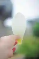 浄土寺(兵庫県)