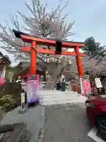 金櫻神社の鳥居