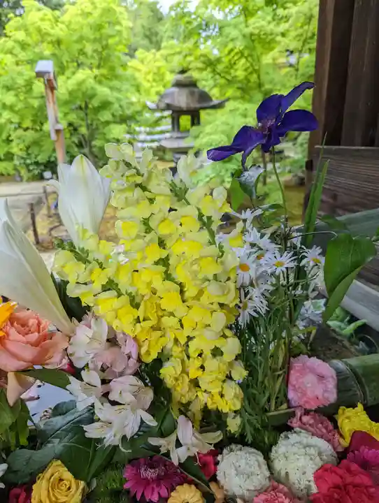 勝林寺(京都府)