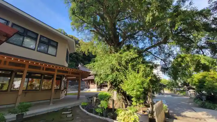 瀬戸神社の自然