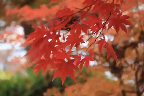 豊景神社の自然