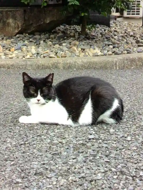 白金氷川神社(東京都)