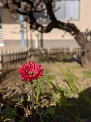 福王山  慈眼寺(東京都)