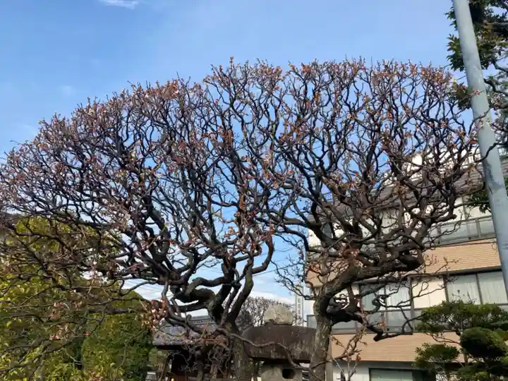 光圓寺(神奈川県)