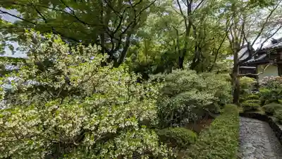 華厳寺(鈴虫寺)(京都府)