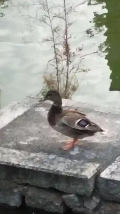 東寺(教王護国寺)(京都府)