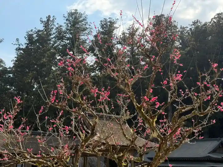小國神社(静岡県)