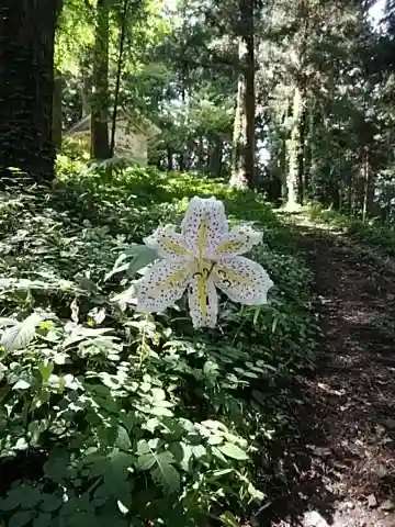 見渡神社の自然