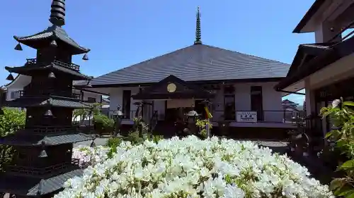 善根山弘法寺(福井県)